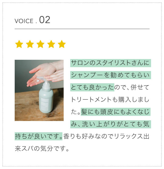 voice2